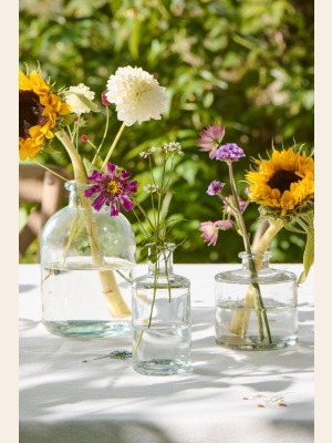 VASE ANNA KLART GLASS M/HALS