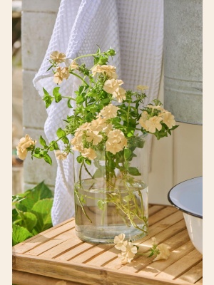 VASE HANNAH CYLINDERFORMET GLASS SMALL